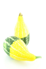 Gourd