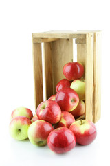 Red Elstar apples in a wooden crate.