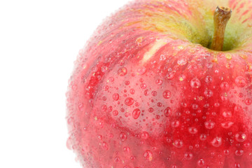 shiny fresh red Elstar apple with water droplets.
