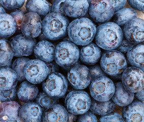 Closeup of fresh blueberries
