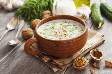 Tarator, bulgarian sour milk soup