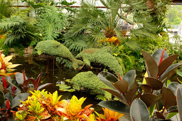 Fototapety na wymiar - Fototapeta24.pl