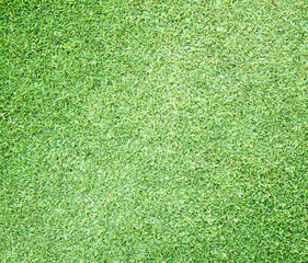 Fototapeta premium Golf Courses green lawn