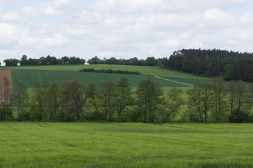 Spring landscape in Bavaria