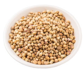 Coriander seeds in white bowl over white background 