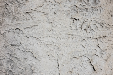 Thorn concrete wall texture