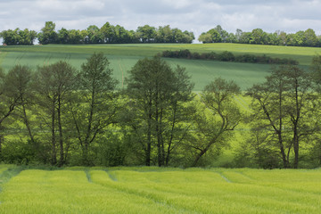 Naklejka premium Spring landscape in Bavaria