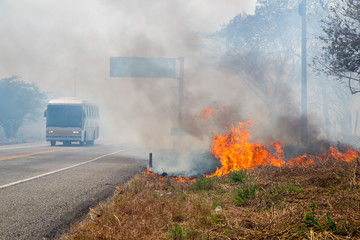 Fototapeta na wymiar Bus fährt durch Waldbrand hindurch...
