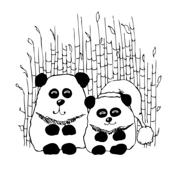 Two Pandas