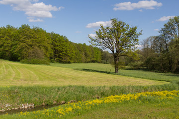 Spring landscape in Bavaria