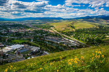 Flowers and view of Missoula from Mount Sentinel, in Missoula, M