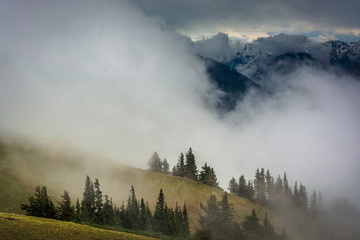 Hillside and mountains obscured by clouds, seen from Hurricane R