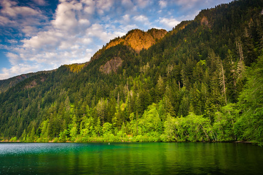 Evening light on Lake Crescent and mountains in Olympic National