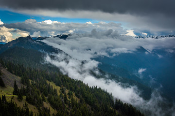View of mountains and low clouds from Hurricane Ridge, in Olympi