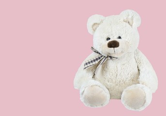 Teddy Bear, Stuffed Animal, Toy.