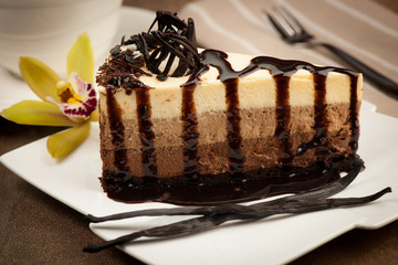Delicious chocolate cake with syrup