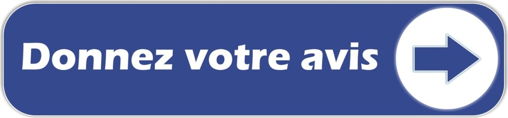 bouton donnez votre avis