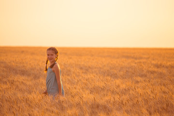 Naklejka na ściany i meble girl on a wheat field