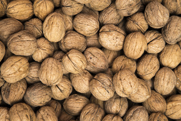 Walnut
