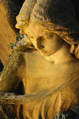 Fototapeta premium golden angel in the sunlight (antique statue)
