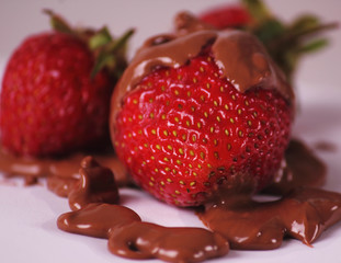 strawberries in chocolate