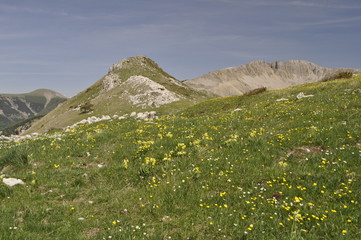 Massif des  Monges