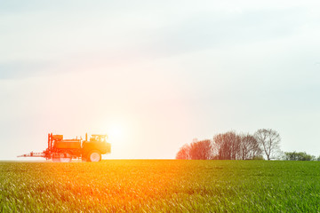 Fototapeta premium Spraying the herbicides on the green field