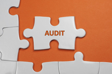 Audit Text - Business Concept