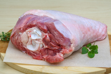 Raw turkey leg