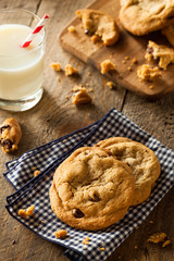Homemade Chocolate Chip Cookies