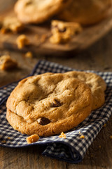 Homemade Chocolate Chip Cookies