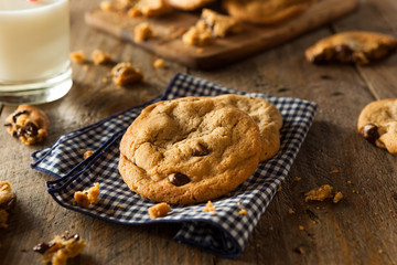Homemade Chocolate Chip Cookies