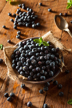 Fresh Raw Organic Blueberries