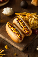 Barbecue Grilled Hot Dog
