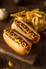 Barbecue Grilled Hot Dog