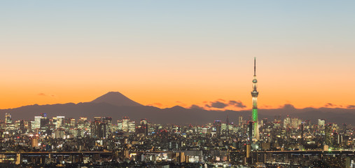 Tokyo city view with Tokyo skytree and mountain fuji .