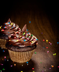 Chocolate Cupcakes