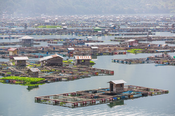 Obraz premium Traditional fish cages on the lake Toba, North Sumatra, Indonesi