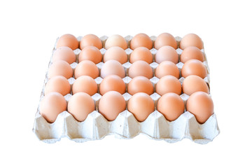 Chicken eggs in paper tray isolated