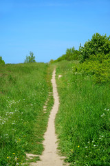 Obraz premium Narrow small path