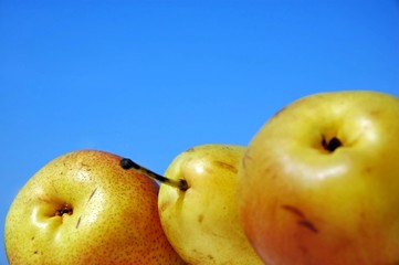 pears