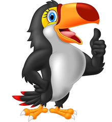 Cartoon toucan gives thumb up. vector illustration