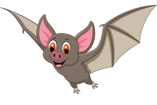 Bat cartoon flying. vector illustration