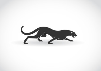Vector image of an panther  on a white background