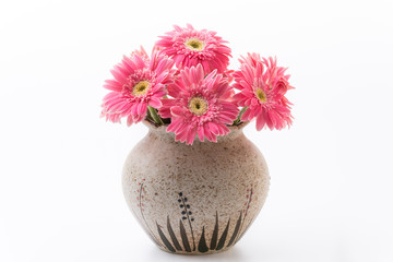 Pink gerbera flower