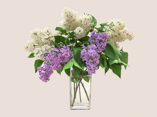 Lilac bouquet in a clear glass vase on a bright background