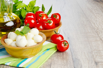 Mozzarella, tomatoes and oil