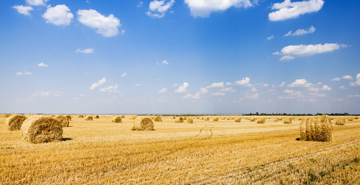 Straw Stack  