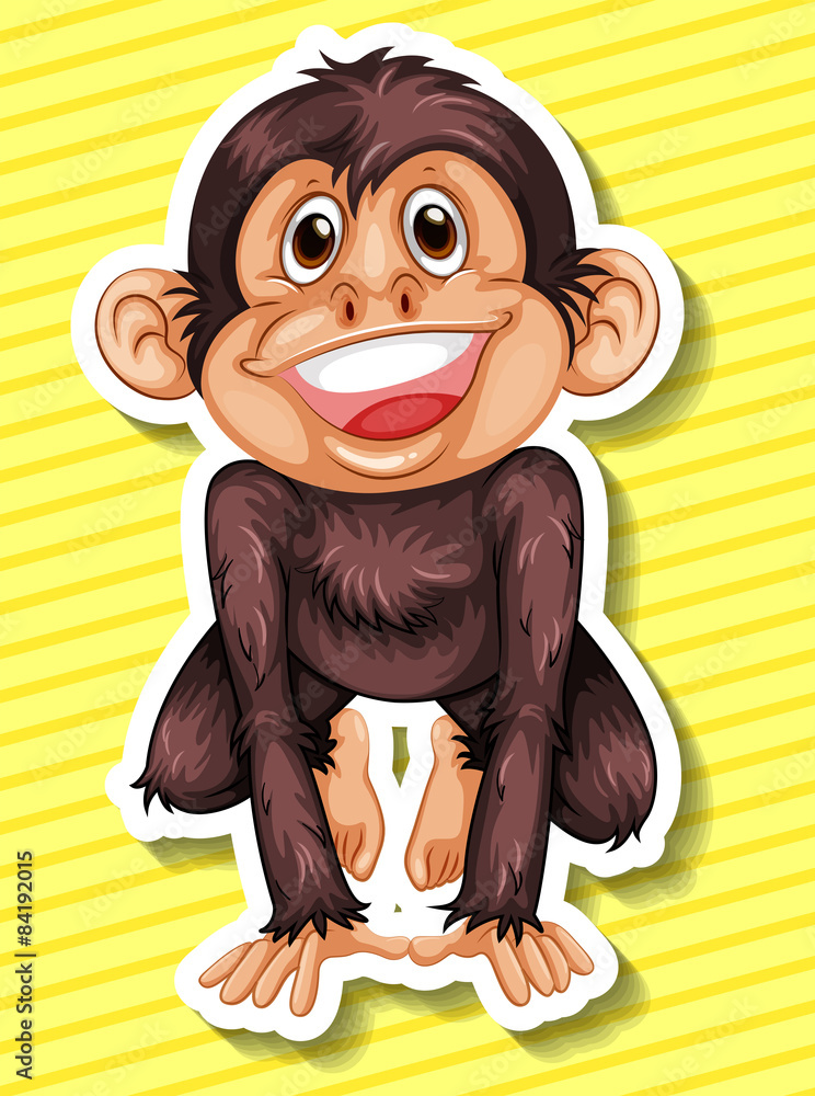 Canvas Prints monkey