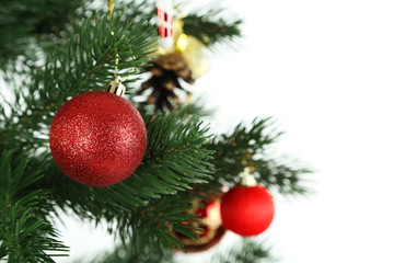Fototapeta na wymiar Christmas baubles on christmas tree on white background